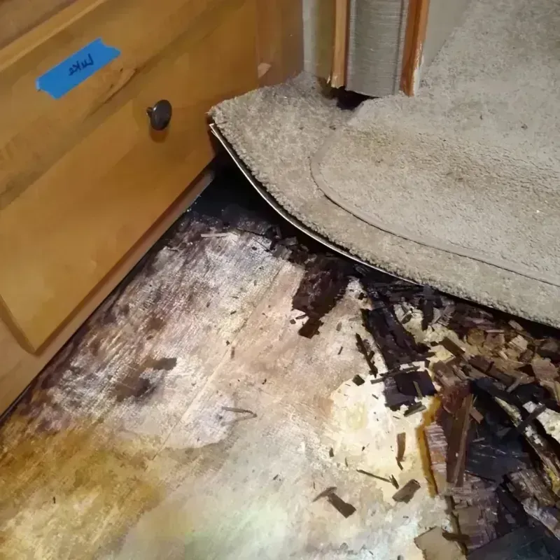 Wood Floor Water Damage in Jefferson Davis Parish, LA